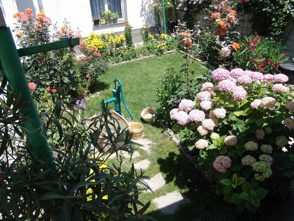 Bogdanoski Studios&Guest Rooms Ohrid Exterior foto